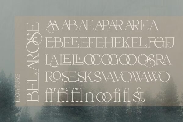 Belarose - Sans Serif Font - Image 9