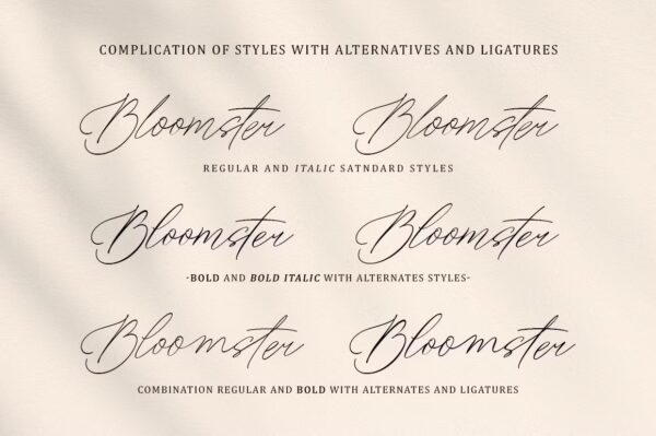 Artsn - Script Pro Font - Image 4