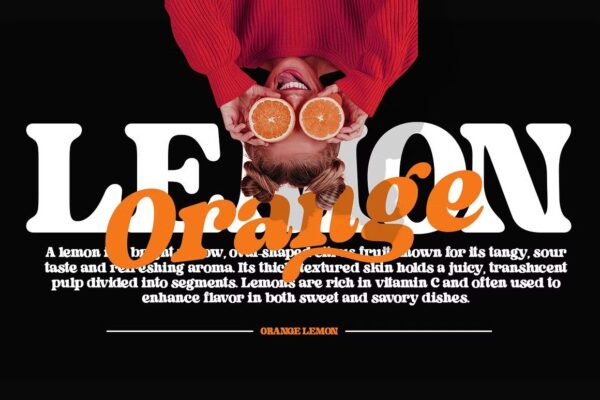 Monthey - Sans Serif Font - Image 3