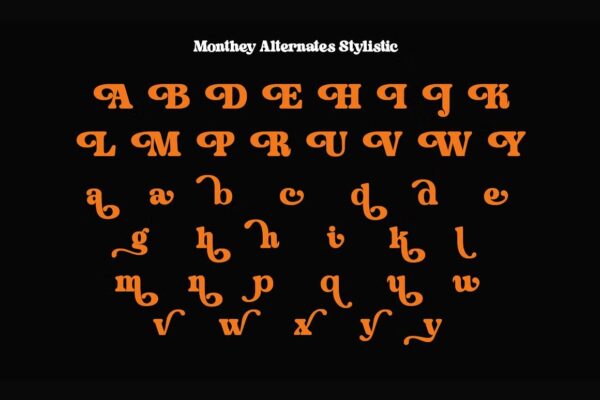 Monthey - Sans Serif Font - Image 9