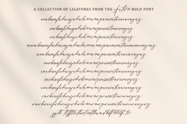 Artsn - Script Pro Font - Image 5