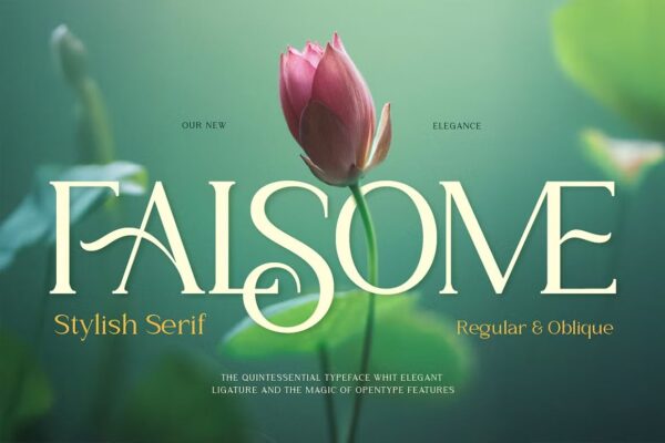 Falsome - Sans Serif Font