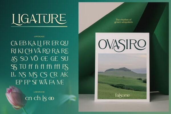Falsome - Sans Serif Font - Image 4