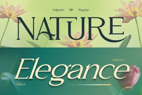 Falsome - Sans Serif Font - Image 5