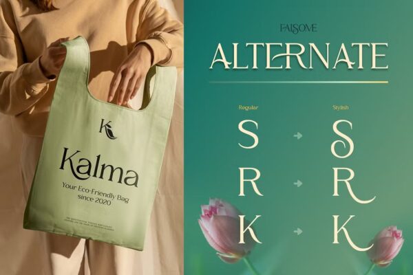 Falsome - Sans Serif Font - Image 8