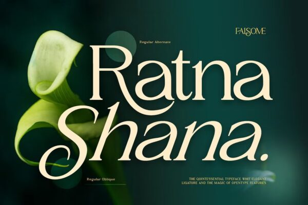 Falsome - Sans Serif Font - Image 9