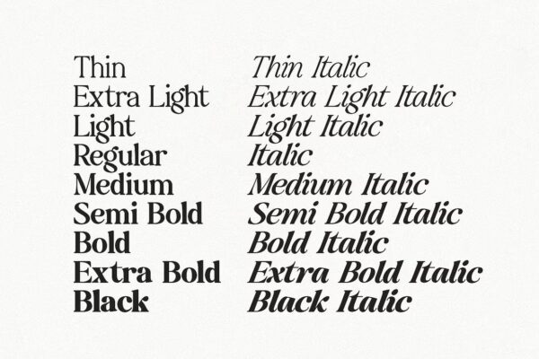 Baskerville Display Pro - Sans Serif Font - Image 4