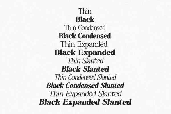 Baskerville Display Pro - Sans Serif Font - Image 8