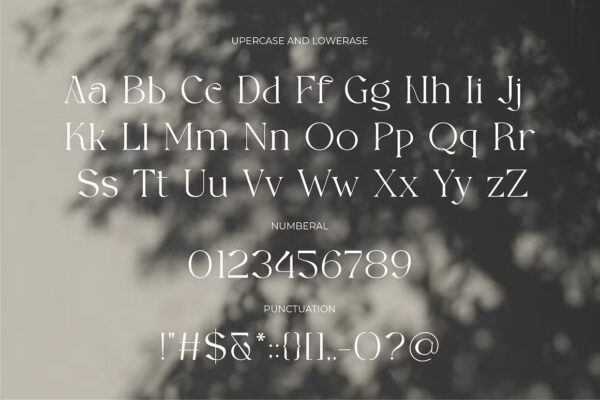 Acheria - Sans Serif Font - Image 8