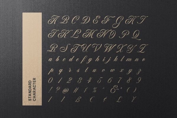 Regality - Script Font - Image 9