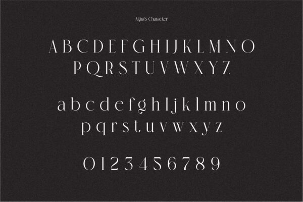 Afgra - Sans Serif Font - Image 5