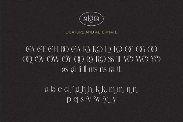 Afgra - Sans Serif Font - Image 10