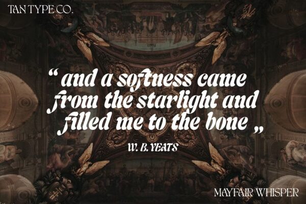 Mayfair Whisper - Script Font - Image 4