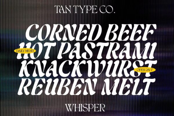 Mayfair Whisper - Script Font - Image 8