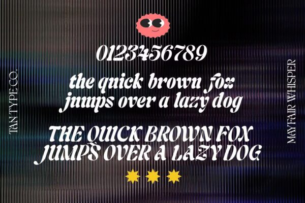 Mayfair Whisper - Script Font - Image 10