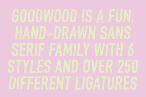 Goodwood - Sans Serif Font - Image 2