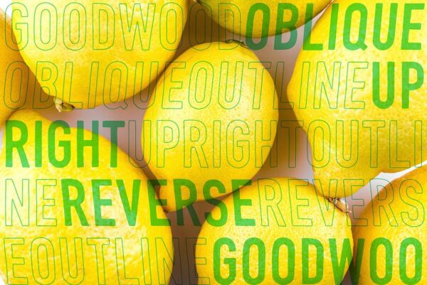 Goodwood - Sans Serif Font - Image 3
