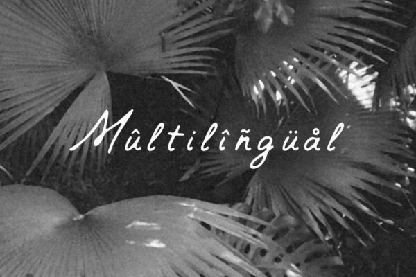 Augustine - Sans Serif Font - Image 4