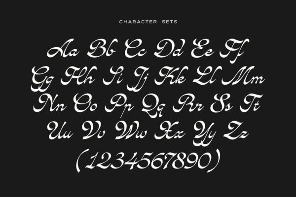 Avandgarde - Script Font - Image 10