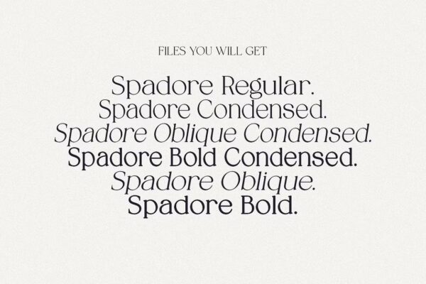 Spadore - Sans Serif Font - Image 2