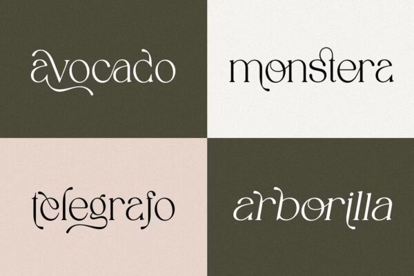 Spadore - Sans Serif Font - Image 7