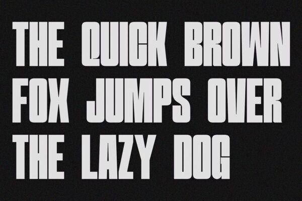 Hightone - Sans Serif Font - Image 4