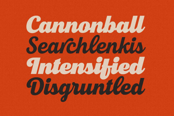 New Roshelyn Script - Font Family - Image 4