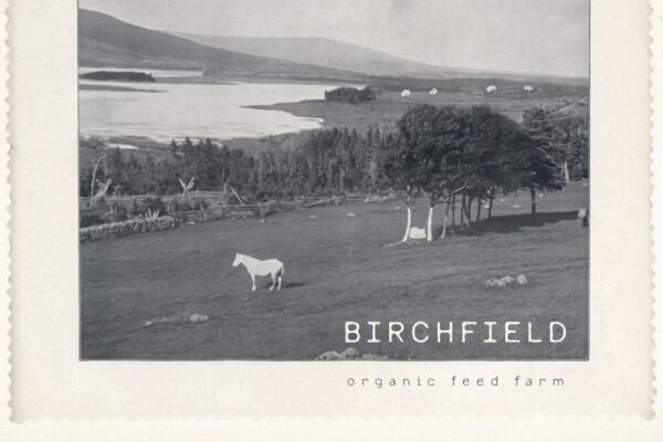 Quilt & Barley - Handwritten Font - Image 7